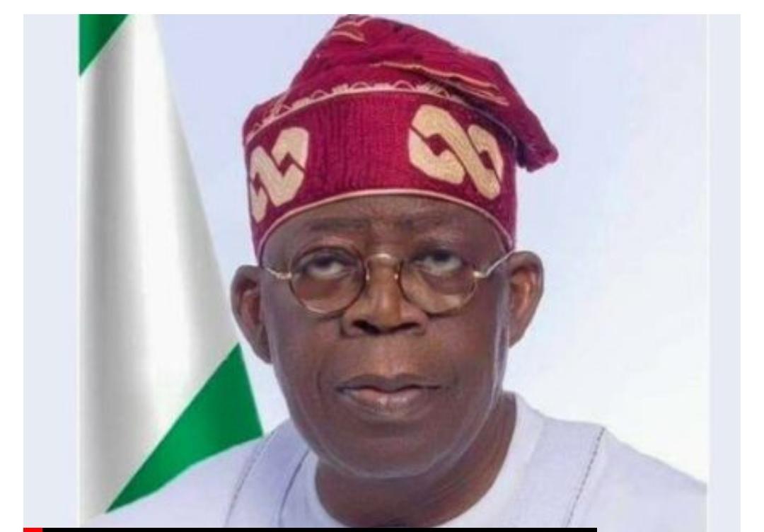 Ndume Lauds Tinubu over recent appointments, seeks South-East inclusion