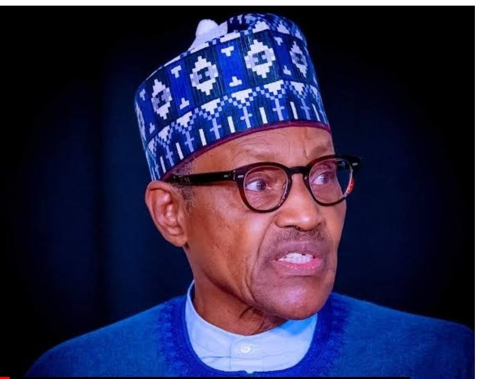 Nigerians spent over $3.6bn annually on foreign healthcare under Buhari